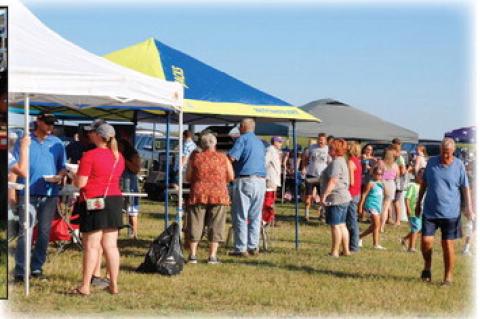 Article Image Alt Text