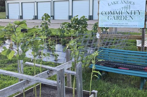 Article Image Alt Text