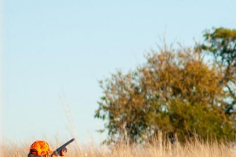 SOUTH DAKOTA PHEASANT HUNT OPENER COMMENCES