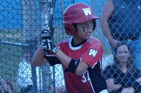 Article Image Alt Text