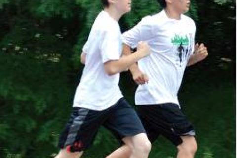 Article Image Alt Text