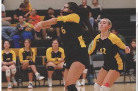 Article Image Alt Text