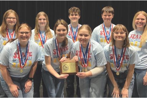 Article Image Alt Text