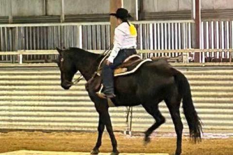 CHARLES MIX COUNTY 4-H HORSE SHOW