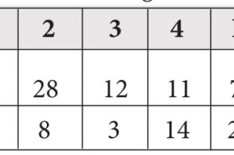 LADY PIRATES DEFEAT MARTY BRAVES IN REGION GAME