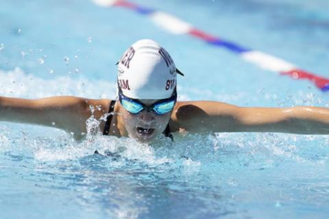 Article Image Alt Text