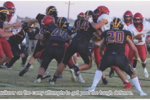 Article Image Alt Text