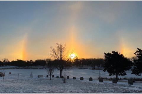 Article Image Alt Text