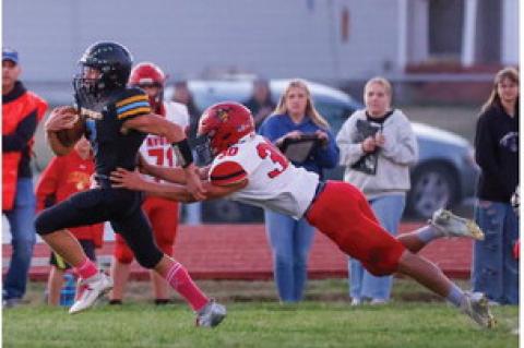 Article Image Alt Text