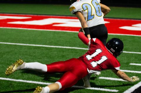 Article Image Alt Text