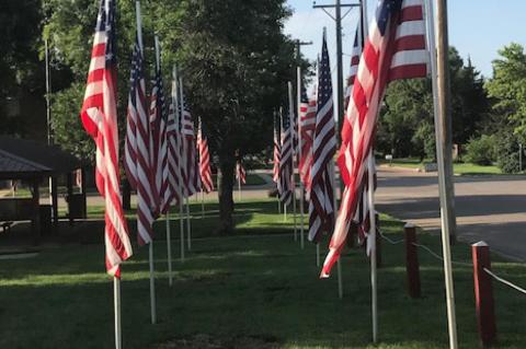 Article Image Alt Text