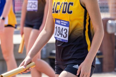 Article Image Alt Text