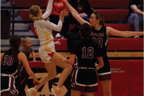 Article Image Alt Text