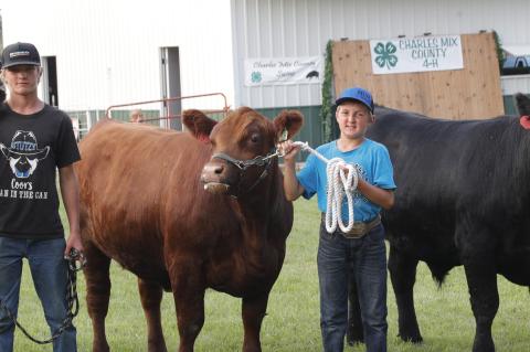 The 2025 Charles Mix County 4-H County Fair took place at the 4-H Center in Lake Andes this past week. All kinds of activities and animal shows were held.