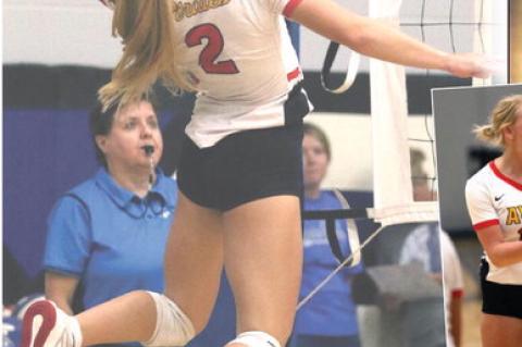 Article Image Alt Text