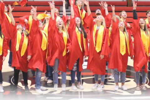 Article Image Alt Text