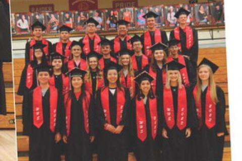 Article Image Alt Text