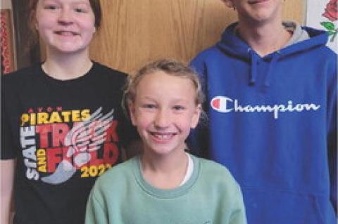 Article Image Alt Text