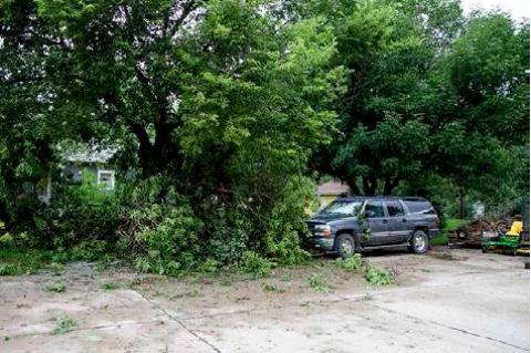 Article Image Alt Text