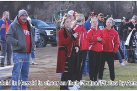 Article Image Alt Text