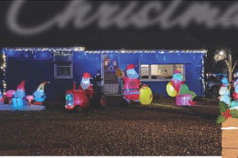 Article Image Alt Text