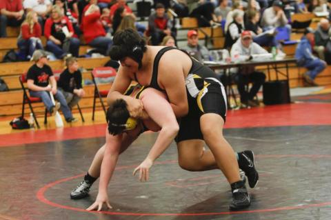 Article Image Alt Text