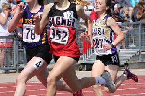 Article Image Alt Text