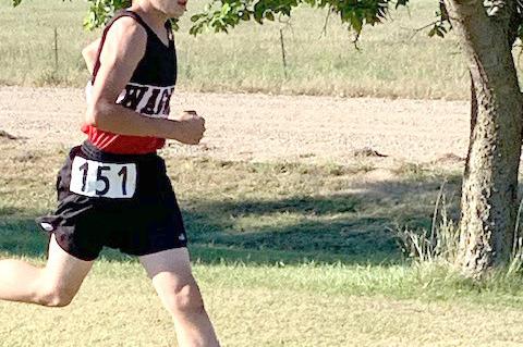 Article Image Alt Text