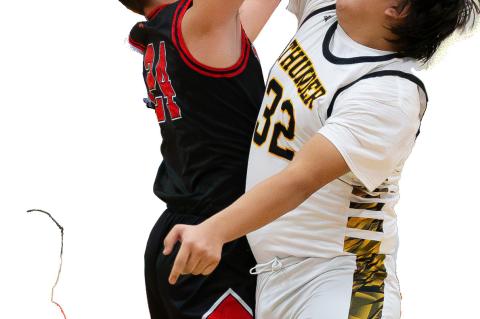 Article Image Alt Text