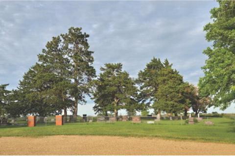 Article Image Alt Text