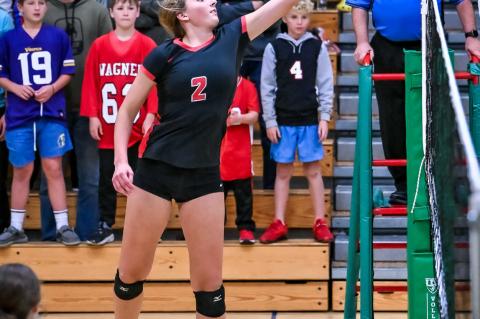 Article Image Alt Text