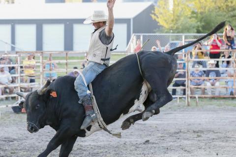 Article Image Alt Text