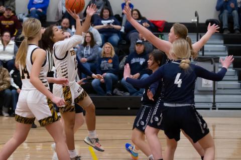 Article Image Alt Text