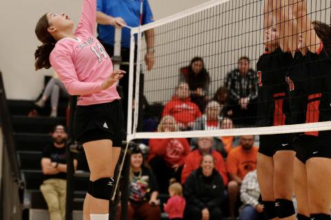 Article Image Alt Text