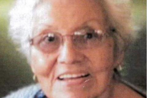 Article Image Alt Text