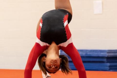 	CHAMBERLAIN TRIANGULAR GYMNASTICS RESULTS 
