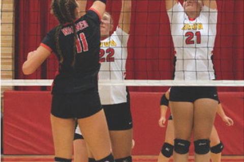 Article Image Alt Text