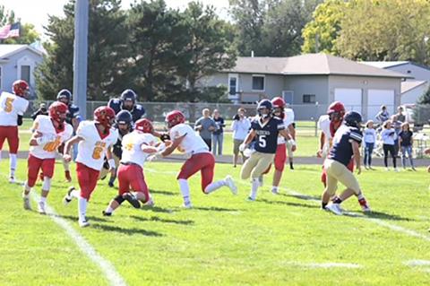 Article Image Alt Text