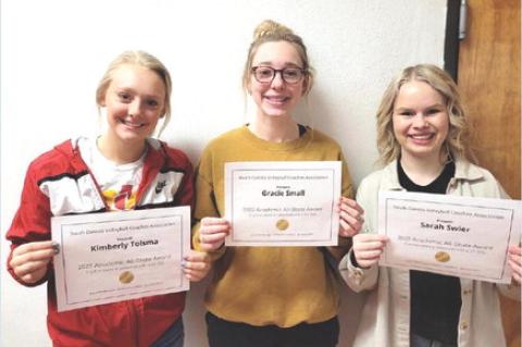 Article Image Alt Text