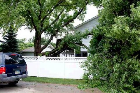 Article Image Alt Text