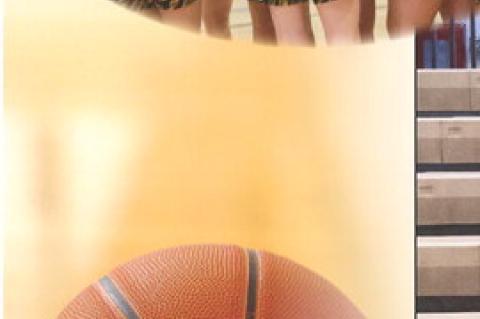 Article Image Alt Text