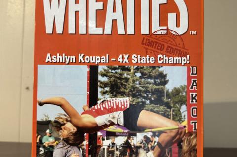 Article Image Alt Text