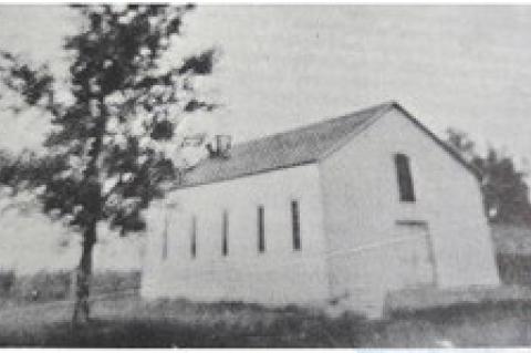 Article Image Alt Text