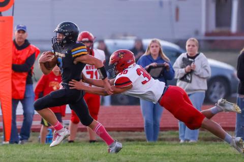 Article Image Alt Text