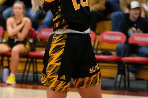 Article Image Alt Text