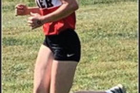 Article Image Alt Text