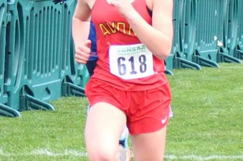 TJEERDSMA/THURY COMPETE AT STATE CROSS COUNTRY