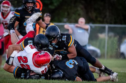 Article Image Alt Text