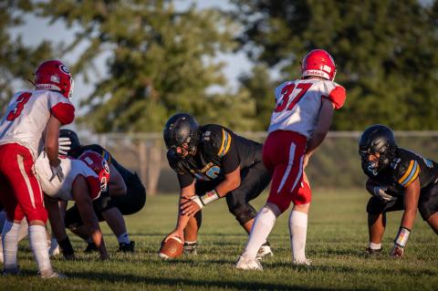 Article Image Alt Text