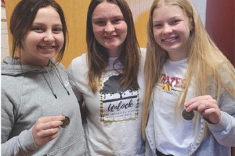 Article Image Alt Text